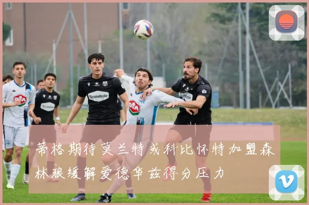 蒂格期待莫兰特或科比怀特加盟森林狼缓解爱德华兹得分压力
