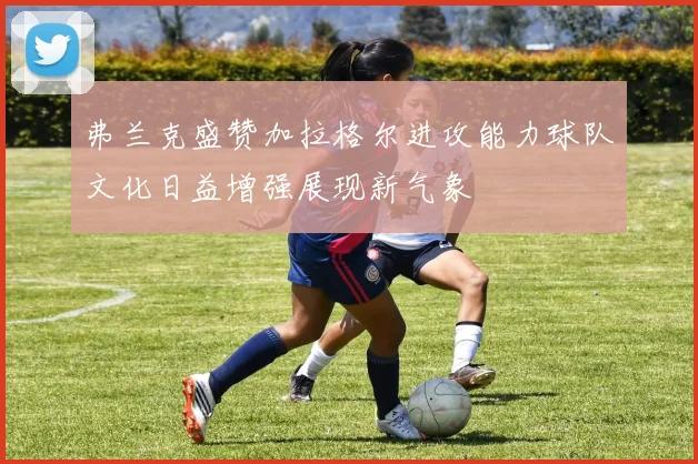 弗兰克盛赞加拉格尔进攻能力球队文化日益增强展现新气象
